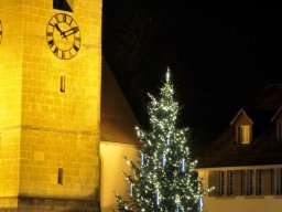 Aarberg by Night 2009-1